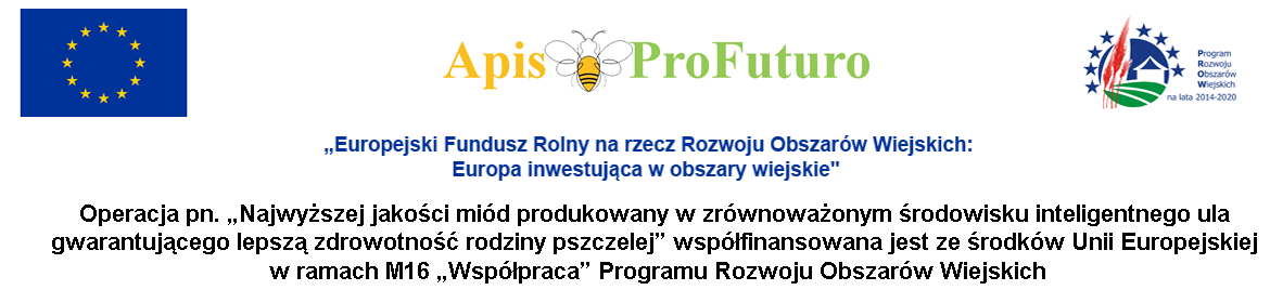 logotyp_projektu